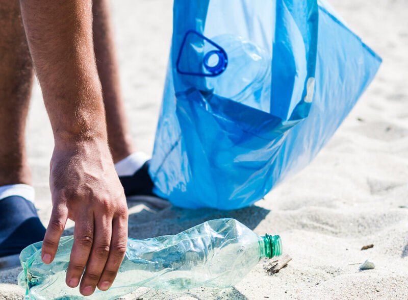 Protecting and Managing  Beach Ecosystems